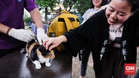 FOTO: Pet Lover Berbondong Bawa 'Anabul' Vaksin Rabies Gratis