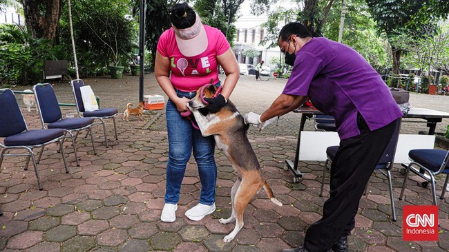 FOTO: Pet Lover Berbondong Bawa 'Anabul' Vaksin Rabies Gratis