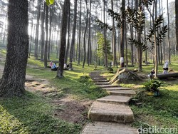 Wisata Batu Kuda Bandung: Tiket, Jam Buka, Rute dan Daya Tarik