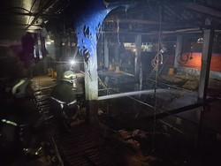 Peternakan di Jogonalan Klaten Terbakar, Ribuan Anak Ayam Terpanggang