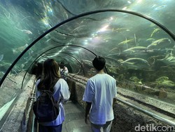 Sea World Ancol, Eksplorasi Dunia Bawah Laut di Jakarta