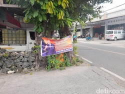 APK Pilkada Selayar Marak Dipaku di Pohon, DLH Ngaku Terkendala Regulasi