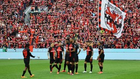 Statistik Luar Biasa Bayer Leverkusen: 145 Gol, Hanya Satu Kali Kalah