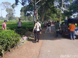 Dua Mayat Anak Punk Tergeletak di Perkebunan Teh Malabar Bandung
