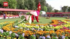VIDEO: 500 Ribu Kembang di Festival Bunga Tahunan India