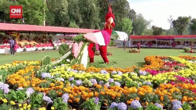 500 Ribu Kembang di Festival Bunga Tahunan India