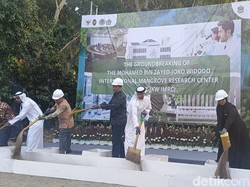 Pusat Penelitian Bakau Internasional Dibangun di Bali