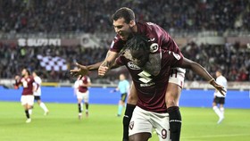 Hasil Liga Italia: Torino Gebuk AC Milan 3-1