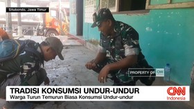 Tradisi Konsumsi Undur-Undur.