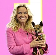 Legally Blonde Resmi Lanjut! Ini Semua yang Perlu Kamu Tahu tentang Serial 