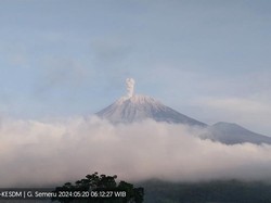 Gunung Semeru Erupsi Pagi Ini Dua Kali, Ketinggian Letusan 800 Meter