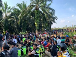 Penjelasan PT ANJA soal Karyawan Bentrok hingga 12 Orang Luka