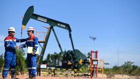 Pertamina Sukses Kelola Blok Rokan & Mahakam, Wujud Kedaulatan Energi