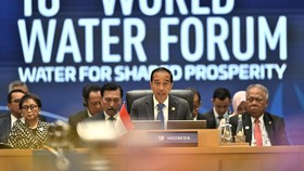VIDEO: Jokowi Kenalkan Prabowo Presiden Terpilih RI ke Delegasi WWF 10