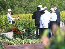 Jokowi Ajak Delegasi World Water Forum Kunjungi Mangrove Tahura Ngurah Rai