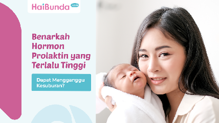 Detik Network