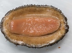 Jenis Daging Hewan Termahal hingga Harga Makanan Kaki Lima di Singapura Naik