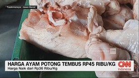 VIDEO: Harga Ayam Potong Tembus Rp45 Ribu/Kg