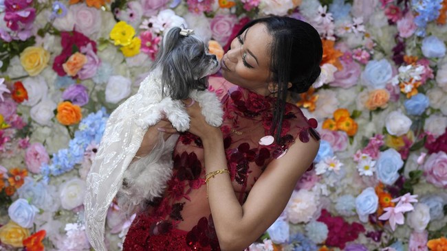FOTO: Kelucuan Belasan Anabul di Pet Gala