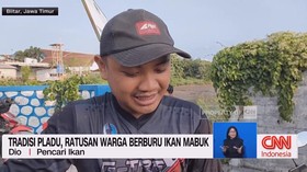 VIDEO: Tradisi Pladu, Ratusan Warga Berburu Ikan Mabuk