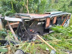 Bus Rombongan Study Tour Terjun ke Jurang di Lampung