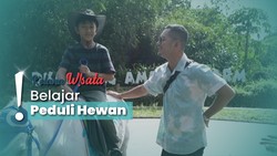 img-title Wisata Edukasi Hewan di D'Kandang, Cocok Buat Liburan Long Weekend