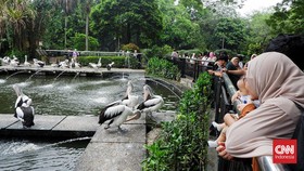 FOTO: Asyik Piknik di Kebun Binatang Ragunan Kala Libur Panjang