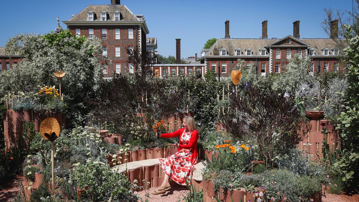 FOTO: Warna-warni Adem di Pameran Bunga RHS Chelsea