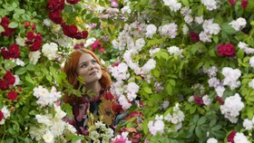 FOTO: Warna-warni Adem di Pameran Bunga RHS Chelsea