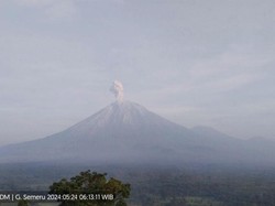 Semeru 6 Kali Erupsi Pagi Ini, Semburkan Abu Vulkanik Setinggi 900 Meter