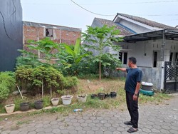 Warga di Kroya Temukan Bayi Perempuan Tanpa Sehelai Kain di Bawah Pohon Pepaya