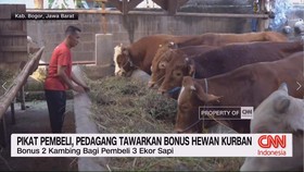 VIDEO: Pikat Pembeli, Pedagang Tawarkan Bonus Hewan Kurban