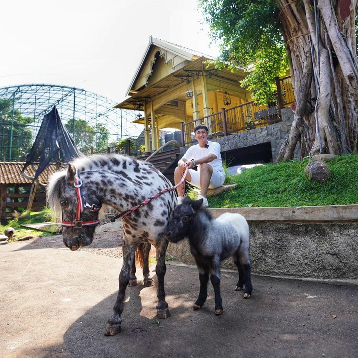 <p>Melalui laman Instagram-nya, Irfan menyebut bahwa kunjungan kali ini tidak hanya sekedar menikmati suasana alam di aviary. Anak-anak juga menikmati acara Panggung Boneka Jalu Jaki. Selain memelihara beraneka macam burung, Irfan Hakim juga memelihar kuda dalmantian yang unik. (Foto: Instagram: @irfanhakim75)</p>