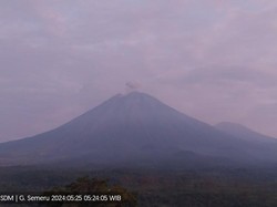 Gunung Semeru 5 Kali Erupsi Hari Ini