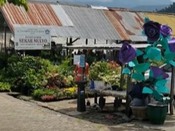 Sederet Wisata Gratis dan Ternyaman di Kota Batu