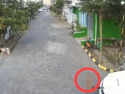 Sopir Fortuner Ngaku Tak Merasa Melindas Balita, Kok Bisa?