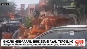 VIDEO: Hindari Kendaraan, Truk Berisi Ayam Terguling.