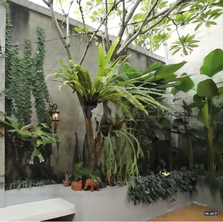 <p>Rumah Irish Bella terlihat teduh dengan banyak pepohonan yang menghiasi halaman rumah. Kediamannya juga didominasi dengan nuansa kayu, Bunda. (Foto: YouTube Trans7 Official)</p>