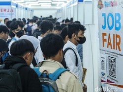 Unpas Gelar Job Fair Gratis, Ini Daftar Perusahaannya
