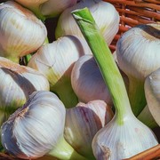 Cara Menyimpan Bawang Putih agar Tetap Segar dan Bisa Tahan Lama