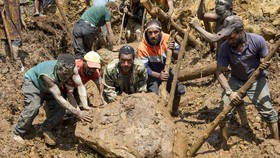 Paket Bantuan Korban Tanah Longsor Tiba di Papua Nugini