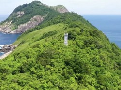 Kisah Nyata: Menembus Teror Pulau Ular yang Mematikan
