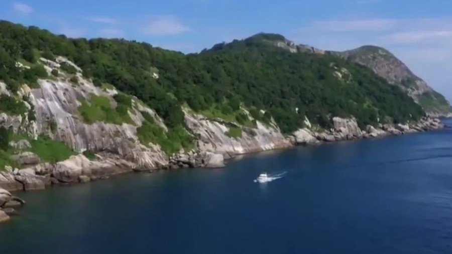 Pulau ular di Brasil Pulau ular di Brasil