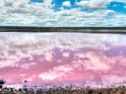 Danau Ini Berwarna Merah Muda Alami, Apa Sebabnya?