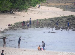 Kerusakan Terumbu Karang di Pangandaran Kian Parah