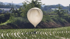 Korut Kirim Lagi 350 Balon Isi Parasit-Sampah Kertas ke Korsel