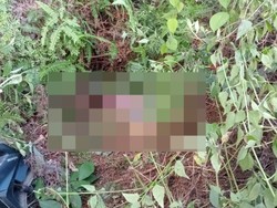 Mengungkap Misteri Dugaan Pembunuhan Siswi SMA yang Ditemukan Tewas dalam Parit
