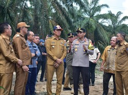 Pj Bupati OKI Minta PT SWA Hentikan Sementara Aktivitas Replanting