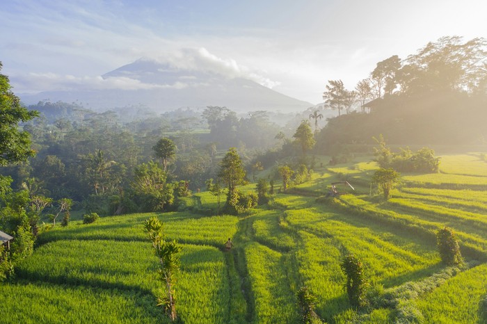 5 Alasan Anak Muda Pilih Tinggal di Bali daripada Jakarta