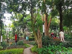 Menyesap Keteduhan Kala Senja di Taman Maluku Bandung